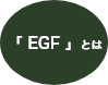 EGFとは